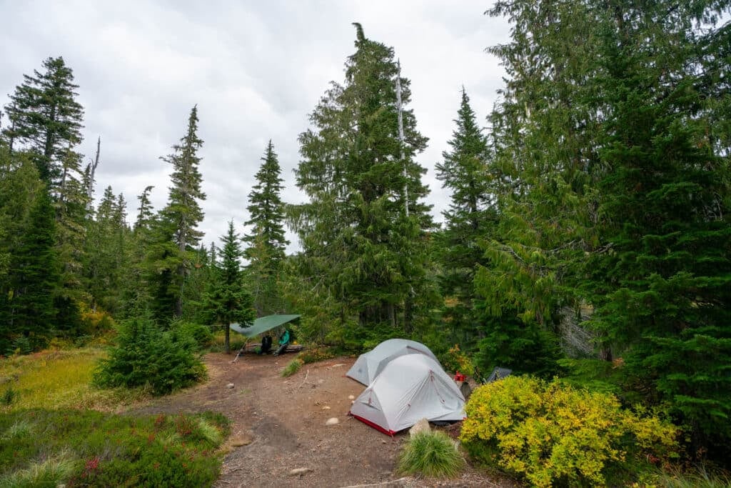 Three tents set up at a backcountry campsite in Olympic National Park