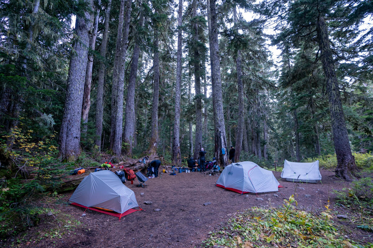 Three tents set up at a backcountry campsite in Olympic National Park